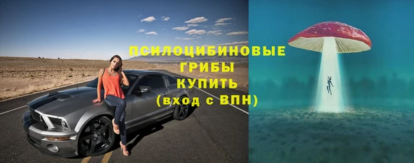 2c-b Надым