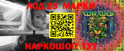 метамфетамин Гатчина
