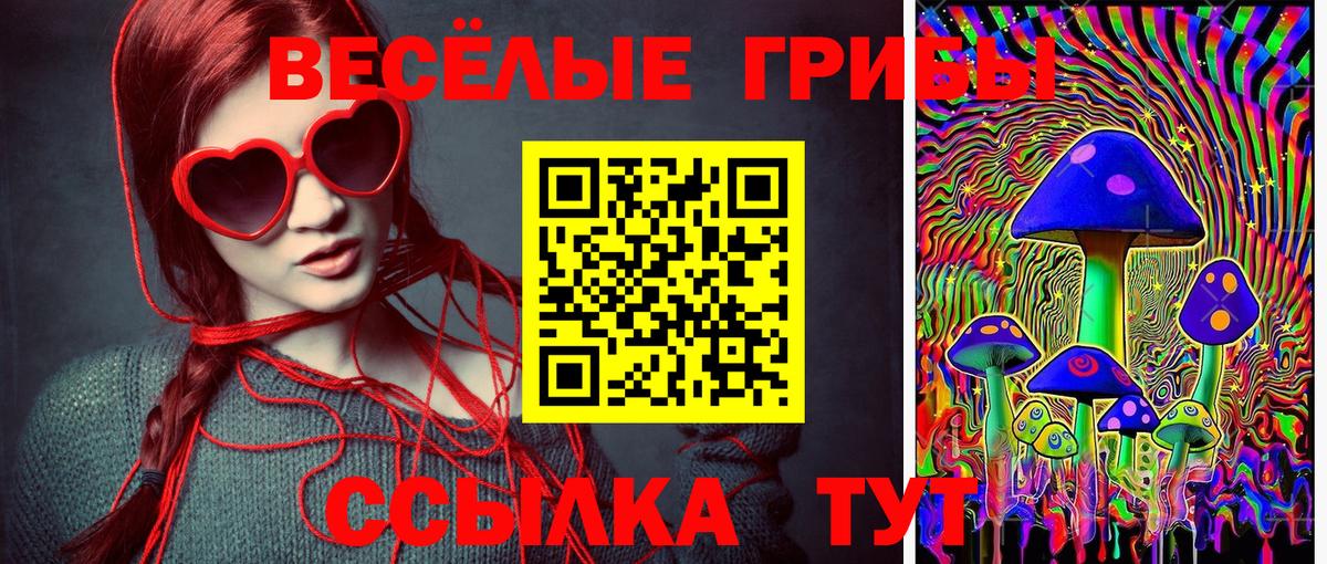 Коломна  Галлюциногенные грибы ЛСД  Вход с VPN  Галлюциногенные грибы Psilocybine cubensis 