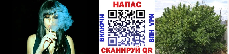 блэк спрут онион  Коломна  Канабис сатива 